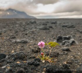 mtb iceland