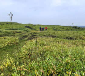 MTB Iceland